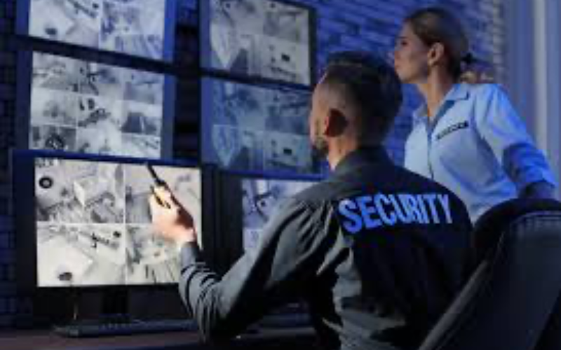 Corporate Security Services
